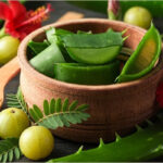 The Power of Herbal Extracts in Hair and Skin Care Products