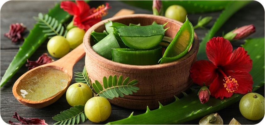 The Power of Herbal Extracts in Hair and Skin Care Products