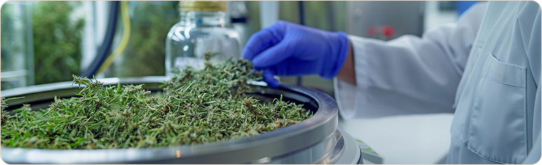 Herbal beauty and pharmacy products manufactured by Excell Impex